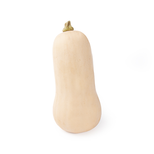 Butternut squash