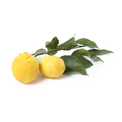 Amalfi citroen
