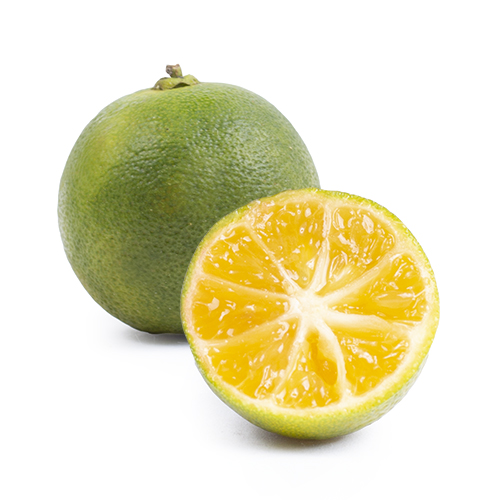 Calamansi