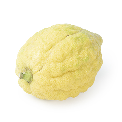 etrog