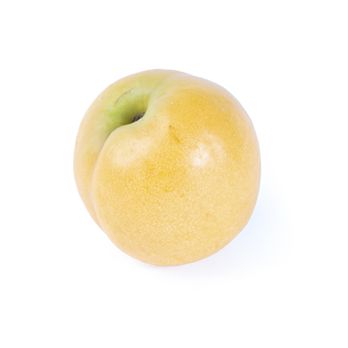 Nectacot