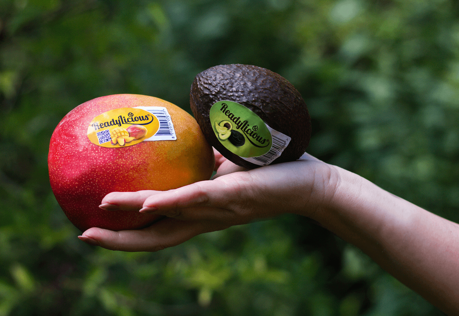 Readylicous Ripe & Ready