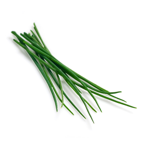 Chives