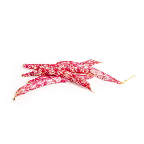 Borlotti bonen