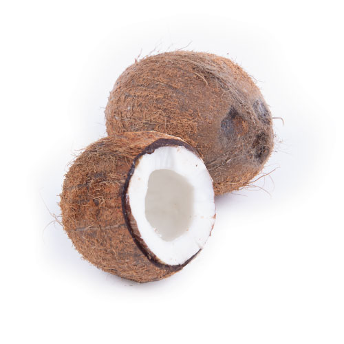 Bruine-kokos