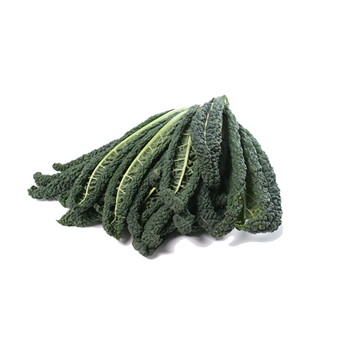 Cavolo nero