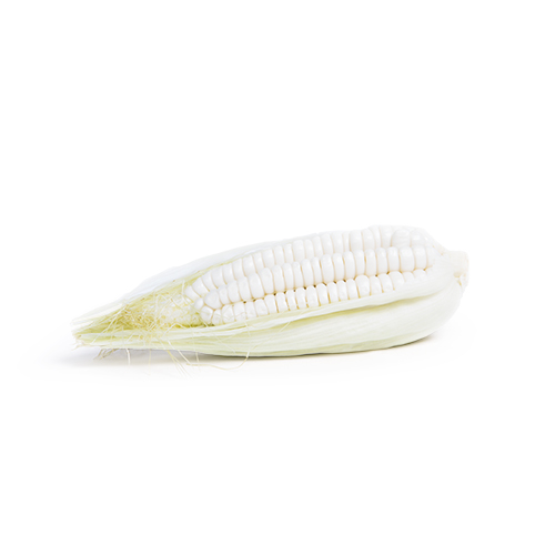 Choclo corn