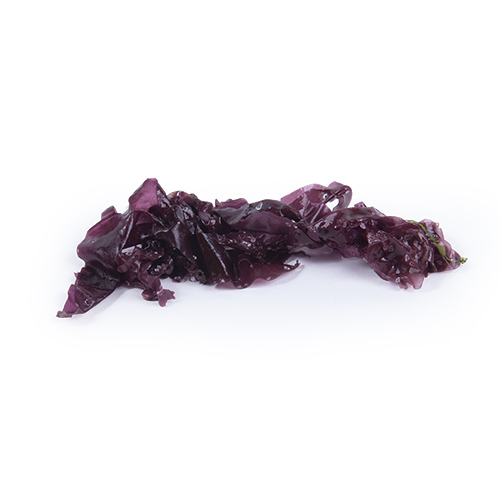 Dulse sea kale