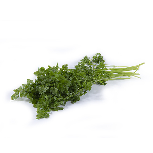 Chervil