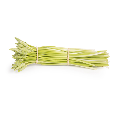 Wild asparagus