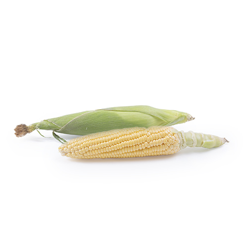 Sweetcorn