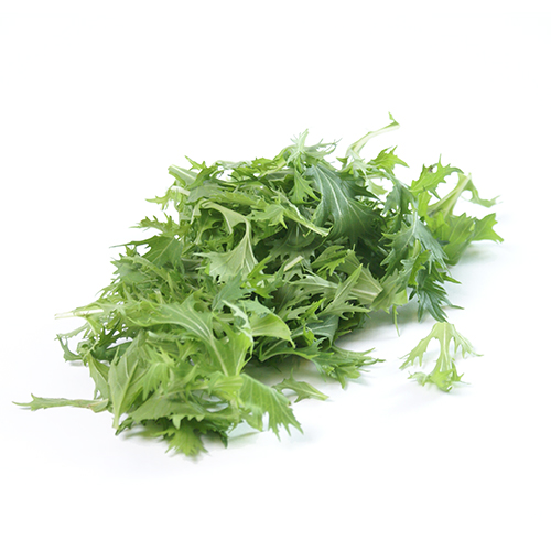 Mizuna lettuce