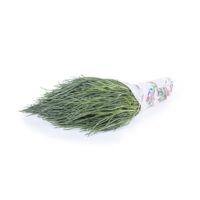 Monk's beard - Bud Holland