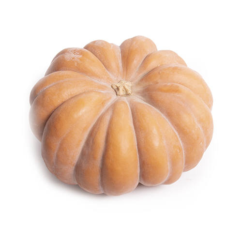 Muscat pumpkin