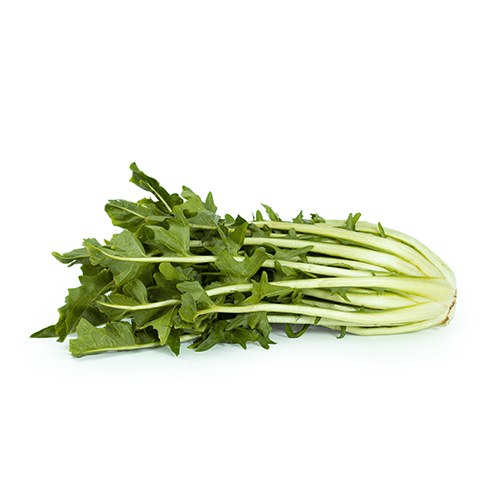 Puntarelle