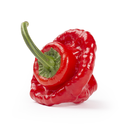 Scotch bonnet