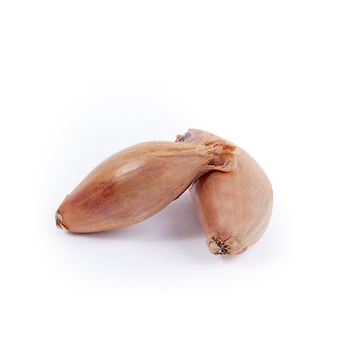 Shallot