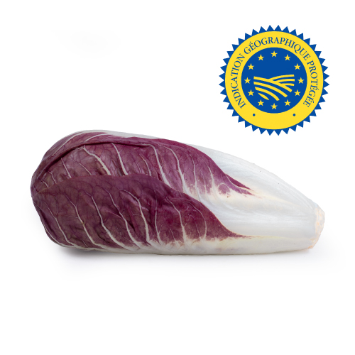 Treviso Tardivo chicory with IGP logo