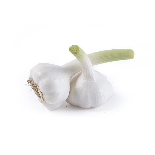 Fresh garlic