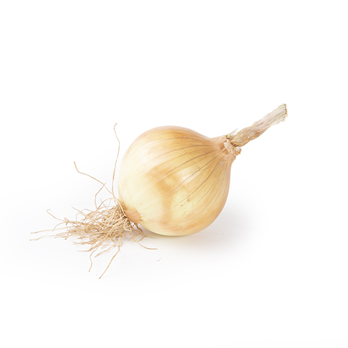 Sweet onion