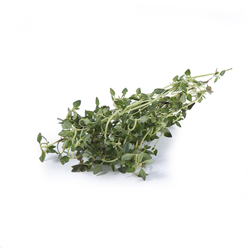 Lemon thyme