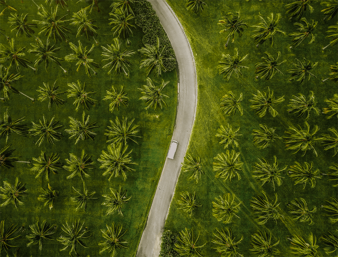 Places Bud Holland