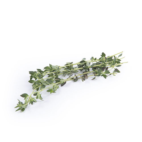 Thyme