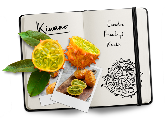 BUD_Journal_Kiwano NL BUD_Journal_Kiwano NL