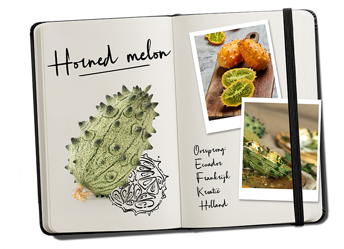 Journal Horned melon NL Journal Horned melon NL