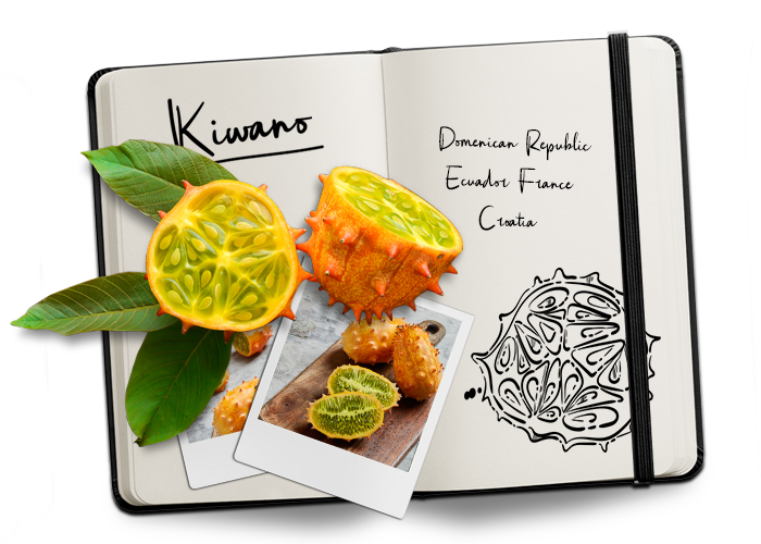 BUD_Journal_Kiwano