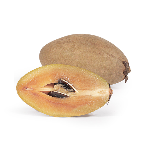 Sapodilla