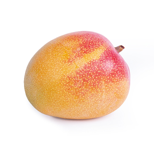 Tree ripened mangos