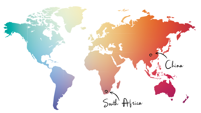 China South-Africa