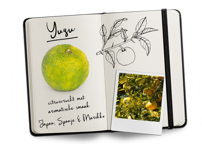 BUD_Journal_Yuzu BUD_Journal_Yuzu