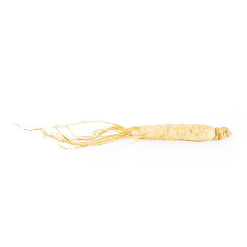 Ginseng