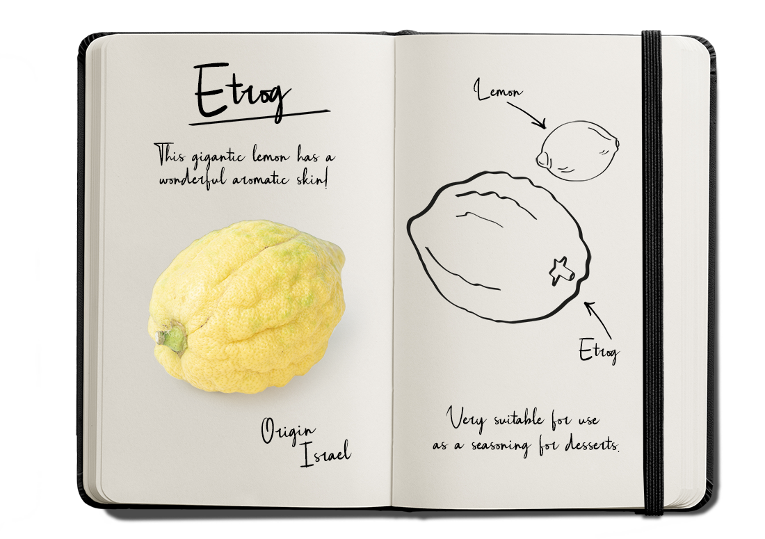 BUD_Journal Etrog_verkleind 1100 pixels