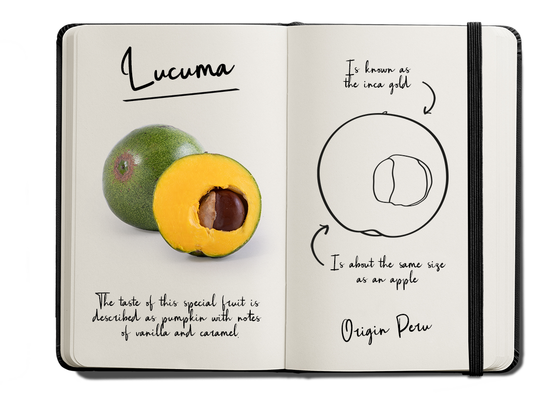 BUD_Journal Lucuma_verkleind