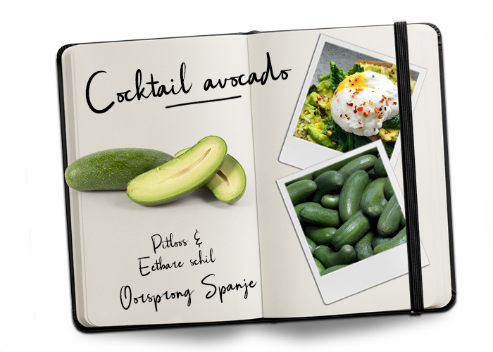 Journal Cocktail avocado_verkleind