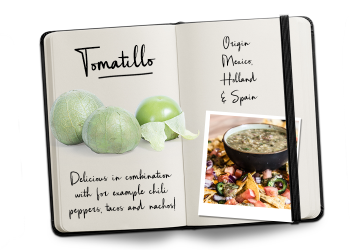 Journal Tomatillo_verkleind