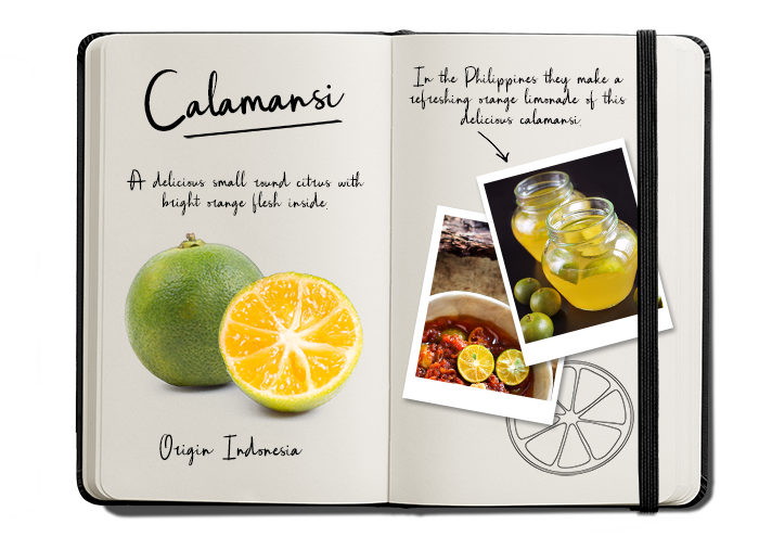 BUD_Journal Calamansi NL Verkleind