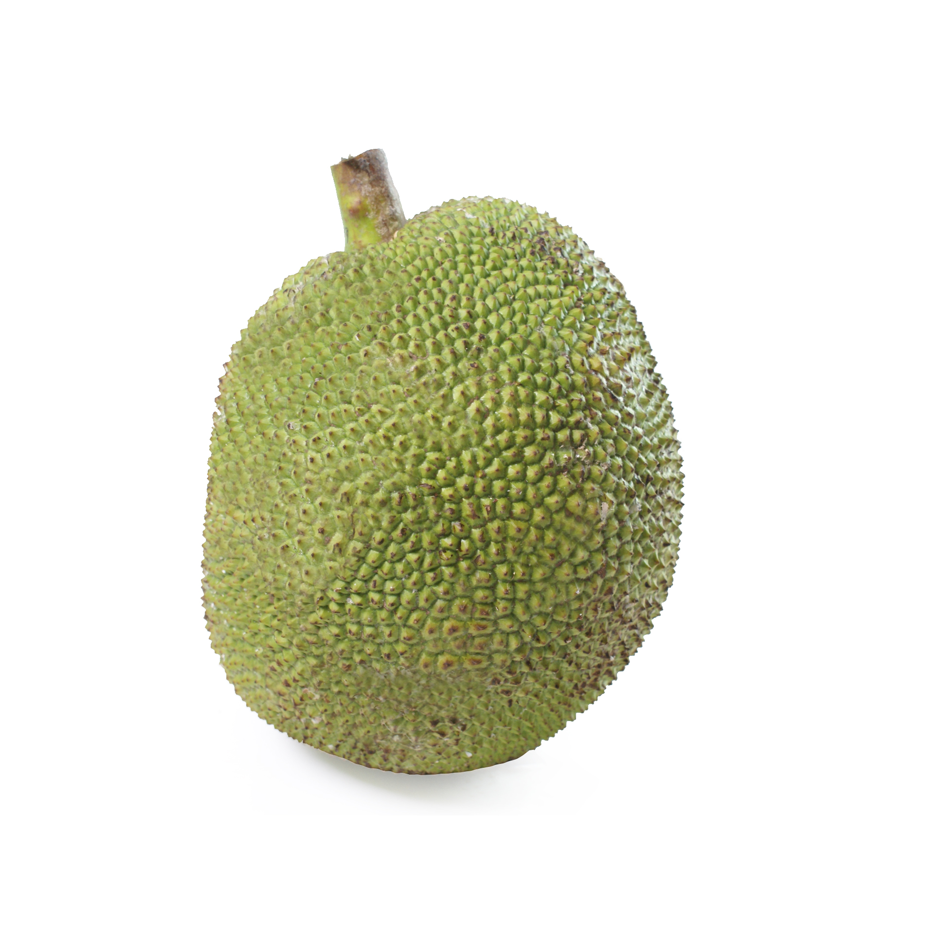 Jackfruit