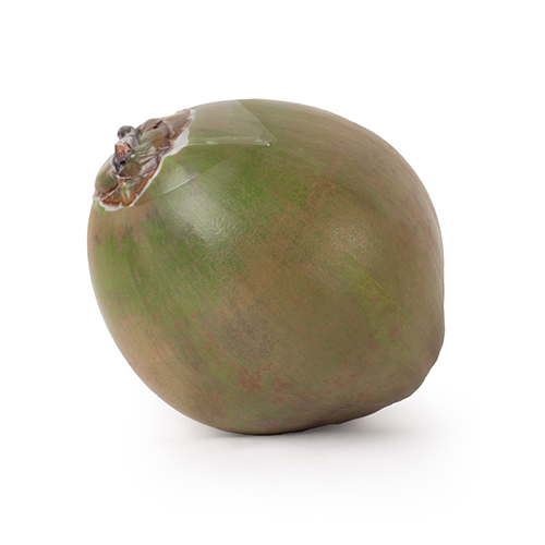 Kokosnoot groen 500px