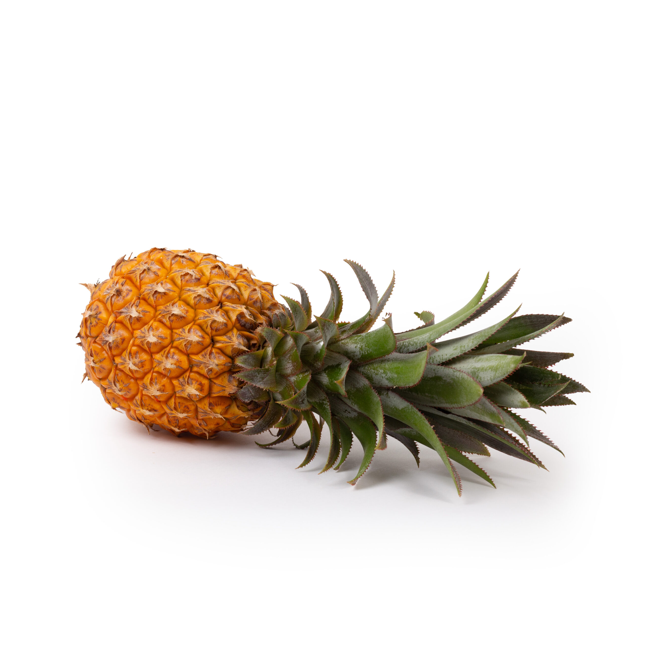 Ananas Mauritius