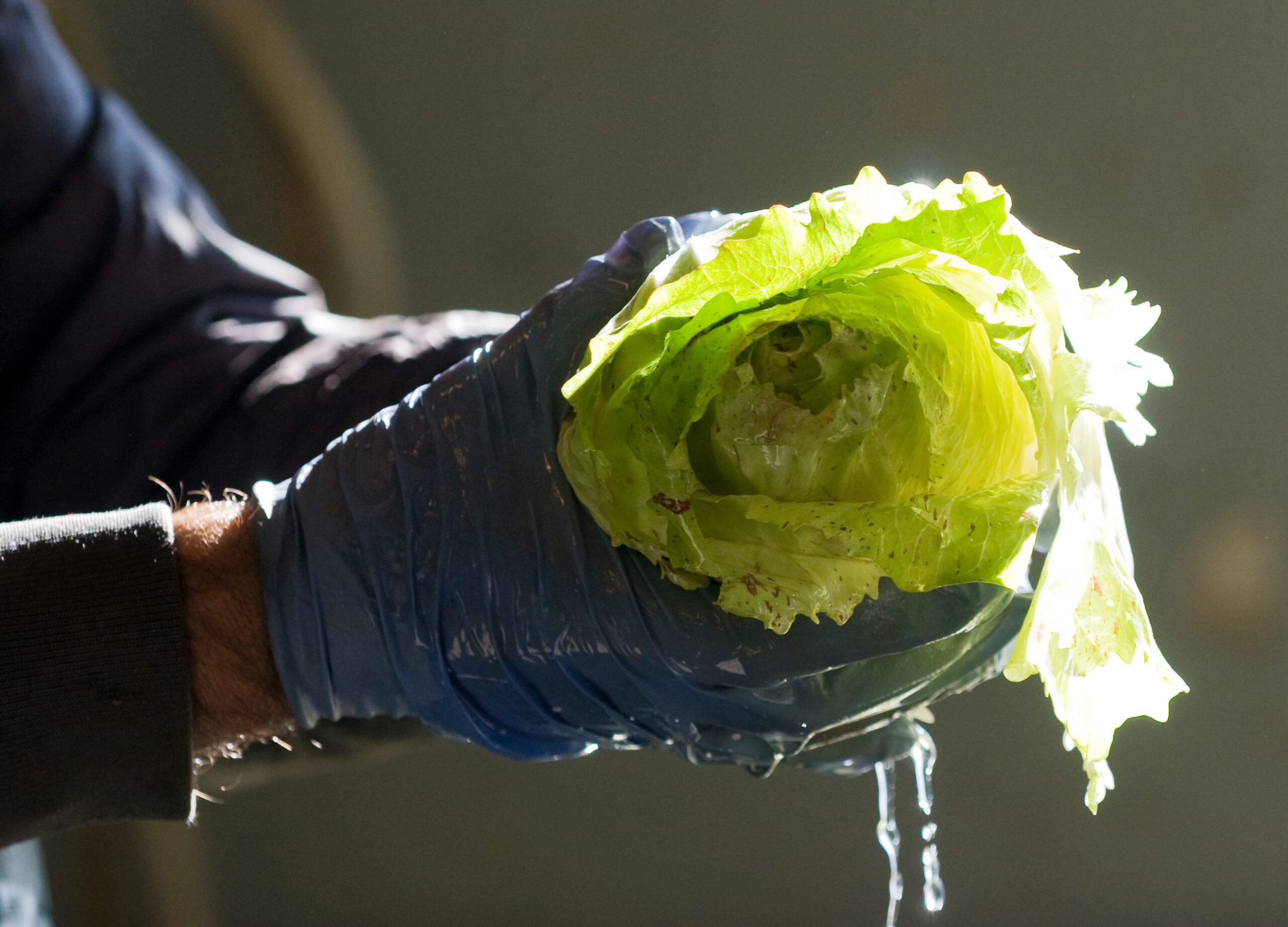 Castelfranco cleaning