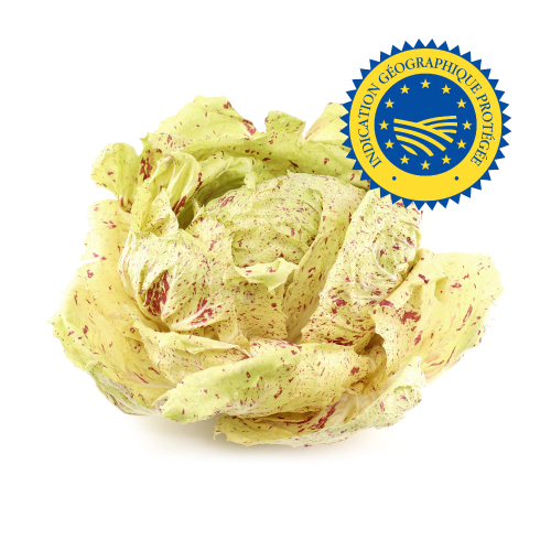 Castelfranco lettuce