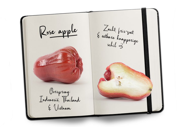 Dagboekje met hierin 2 rose apple vruchten. Tekst: oorsprong Indonesie, Thailand & Vietnam