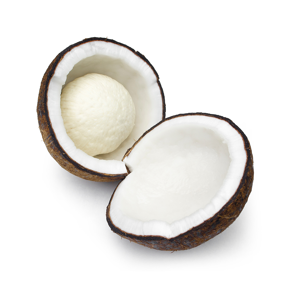 Coconut isolated on white background.
